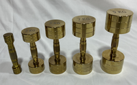 Haltères de Musculation Professionnels en Acier Robuste, Couleur Or, Chromés, Ensemble d'Haltères d'Intérieur de 2,5 à 50 kg