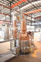 Équipement de distillation ZJ 100-500L, alambic, distillateur hybride, équipement de distillerie de whisky/gin/brandy