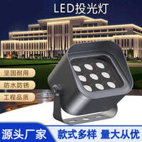 Projecteurs LED extérieurs étanches en aluminium IP65 6000K Lumière du jour Télécommande Paysage Mural CRI 80 Faisceau 60°