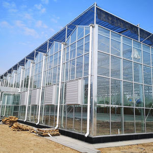 Grande serre agricole multi-travées en verre trempé avec structure en acier galvanisé à chaud, fenêtres de toit et conception ventilée - Product Image 1