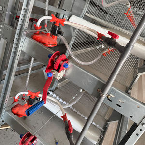 Gabbia Automatizzata per Polli da Carne con Batteria da 5 a 6 Settimane, Nuova Condizione, Allevamento per Conigli e Uccelli per Fattorie in Kenya - Product Image 5