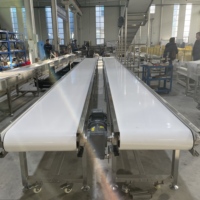 Système de convoyeur à bande en PVC personnalisé, machine à bande transporteuse pour le transfert de produits en cartons
