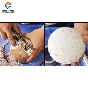 Juego de Máquinas Peladoras de <span class=keywords><strong>Coco</strong></span> Fengxiang para Plantas de <span class=keywords><strong>Coco</strong></span> en Indonesia - Product Image 6
