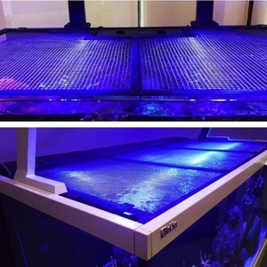 Redsea China DIY Acquario Classico Rettangolare in Lega di Alluminio Trasparente con Rete Anti-Salto 5L per Soggiorno, Garanzia 1 Anno - Product Image 2