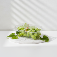 Emballages en blister PET jetables de qualité alimentaire, boîtes à clapet avec trous de ventilation, boîtes à fruits frais, boîtes à pâtisserie, gaufrage recyclé