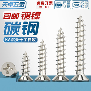 Vis autotaraudeuses Tianzhuo Hardware M1 à M4 à tête Phillips pour le positionnement et la fixation dans l'industrie de la construction - Product Image 5