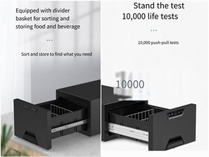 <span class=keywords><strong>Frigorifero</strong></span> <span class=keywords><strong>a</strong></span> cassetto portatile per auto e camion, con <span class=keywords><strong>compressore</strong></span> DC <span class=keywords><strong>12V</strong></span> 24V - Product Image 4