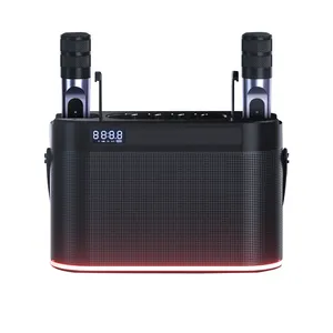 Portable PA System with alloy wireless handheld microphone Blue tooth PA speaker with instrument inputs