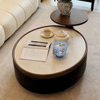 Table basse BANGCHI moderne de luxe léger, style discret, écologique, portable, avec plateau en marbre et rangement amovible pour salon