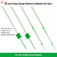 Nouvel Arrivage Prix Compétitif Cathéter utérin profond en mousse AI de 26 mm pour truie avec adaptateur pour fournitures agricoles Cathéters pour truies