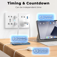 Prise intelligente Tuya Matter WiFi murale avec télécommande et prise universelle intelligente 13A