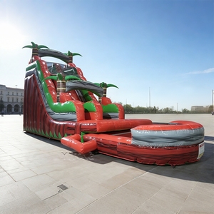 Toboganes de Agua Comerciales, Piscinas Inflables para Exteriores, Tobogán de Agua Inflable Gigante en Oferta para Adultos - Product Image 1