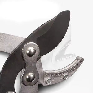 Podadora de acero profesional, herramientas manuales de jardinería, tijeras de <span class=keywords><strong>podar</strong></span> pequeñas, tijeras de jardín <span class=keywords><strong>para</strong></span> flores, árbol de jardín - Product Image 3
