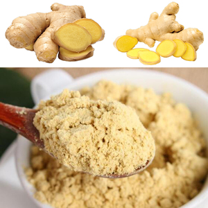Cung cấp tự nhiên Gừng hữu cơ chiết xuất từ rễ bột gingerol <span class=keywords><strong>5</strong></span>% - Product Image 2