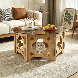 Tavolino da Caffè Rotondo in Vetro Temperato con Piano Caramello e Base in Legno Traforato Stile Rustico - Product Image 3