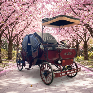 Chariot de balade électrique haut de gamme pour mariages royaux, sans chevaux - Product Image 2
