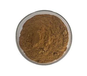 高麗人参エキスInkgo Biloba葉エキス,高麗人参エキス,ソウパルメットエキス,混合ベリーエキス - Product Image 2