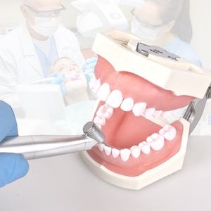 ELIJAH 1:4 dentale. 2 Handpiece in fibra ottica dentale a bassa velocità Handpiece 45 gradi dentario crescente Contra Angle Handpiece - Product Image 5