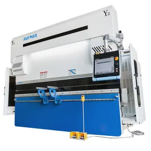 Prensa plegadora RayMax para dobladora y plegadora de láminas de metal Venta caliente WF67K 250T/3200 CNC DA66T 6 + 1 Axis