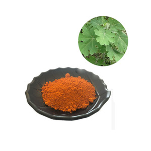Extrait de <span class=keywords><strong>Macleaya</strong></span> Cordata certifié par l'usine, ISO, alcalins totaux à 60%, poudre - Product Image 2