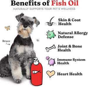 Aceite de Salmón Personalizado al <span class=keywords><strong>por</strong></span> Mayor para Perros y Gatos, Alivia las Alergias, Cuidado de la Piel Seca, Líquido Puro Premium - Product Image 3
