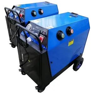 DC/AC 2 ways power supply mobile diesel high pressure steam car washer 20bar steam cleaner with two steam cleaner pistols