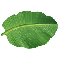 Tapis de drainage en feuille de bananier Kinoshita givré, taille L, en polyester absorbant, pour comptoir de cuisine et salle à manger