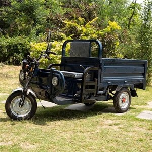 Triciclos Dobles de 48V 60V, Triciclo Convertible con Cabinas, Triciclo para Adultos - Product Image 1