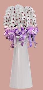 Bandeja de orquídeas de alta resistencia F324 para proveedores y decoradores de regalos florales de lujo - Product Image 3