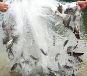 Handmade Phần Lan Loại Lưới Đánh Cá/Nylon Mang <span class=keywords><strong>Net</strong></span> Với <span class=keywords><strong>Sinker</strong></span> Và <span class=keywords><strong>Float</strong></span> Cast <span class=keywords><strong>Net</strong></span> - Product Image 4