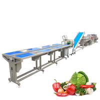 Groente & Fruit Processing Machines Salade Groente Productielijn Quick Bevriezing Verwerking Machine