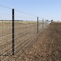 Poteau de clôture en T avec revêtement en poudre résistant à la décoloration CE, marquage de limite avec excellente protection UV, poteau de clôture en Y