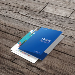 Enveloppe d'entreprise A4 personnalisée et conception de proposition sur une page dorée, dossier de présentation en papier couché imprimé offset - Product Image 3