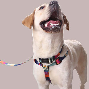 HIPHOPPET Set tali pengikat kerah anjing, nilon mewah antikeluar tanpa tarikan dapat disesuaikan tahan lama untuk desain pemblokiran warna luar ruangan - Product Image 5