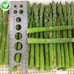 Asperges biologiques de serre Grade pelé congelé IQF un carton de 10kg en vrac Chine SD - Product Image 4