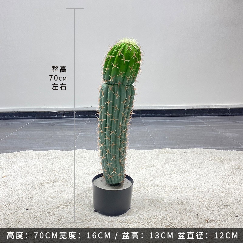 Cactus mexicain - 70CM (livré avec socle noir)