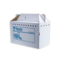 Boîte de transport jetable pour animaux de compagnie en gros, transporteur en carton ondulé pour chats et chiens avec doublure en éponge pour le transport d'animaux