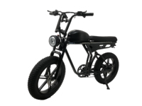 Vélo électrique CXZN-NX2 48V750W 14.5Ah au lithium, pneus 20*4.0, 7 vitesses, vélo électrique pour adultes, vélo électrique de transport, 25-50 km/h, autonomie 40-70 km