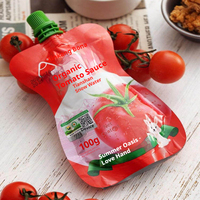 Pâte de Tomate en Sachet 100g en Gros – Base de Tomate Premium Sans Additifs – Vente en Gros pour Aliments pour Enfants, Restauration et Approvisionnement en Jus de Tomate
