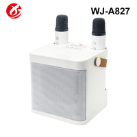Sistem Karaoke Portabel Profesional Nirkabel Bluetooth 5.3 dengan Dua Mikrofon HIFI untuk Kumpul Keluarga