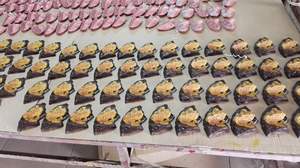 Modelo de Lesiones Cervicales para Ciencias Médicas GP6611 - Product Image 3