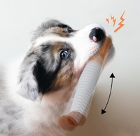 Jouets en peluche écologiques pour chiens, en forme de cigarettes avec boîte, résistants aux morsures, pour la dentition