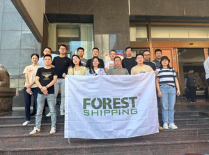 1688 di spedizione forestale <span class=keywords><strong>Taobao</strong></span> all'ingrosso imballaggio personalizzato logistica merci avanti LCL + Express categoria di prodotti - Product Image 5