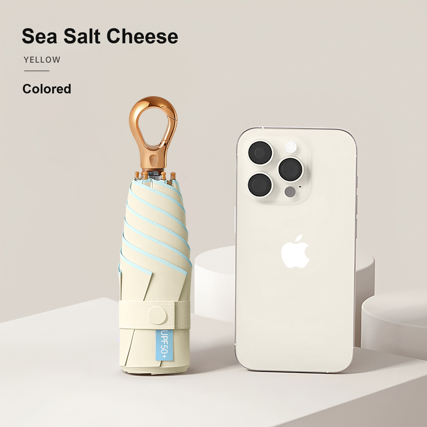 Sea Salt Cheese Shell Free