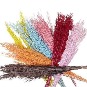 100 Grammi di Fiori Secchi Sbiancati, Erbe e Fiori Conservati, Adatti per Decorazioni Aromaterapiche con Candele Ennio Morlotti - Product Image 1