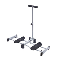 LADYGLOW Équipement d'exercice pour les jambes de gymnastique à domicile avec logo personnalisé Machine de simulation de ski Fitness Rose Gris Machine de ski