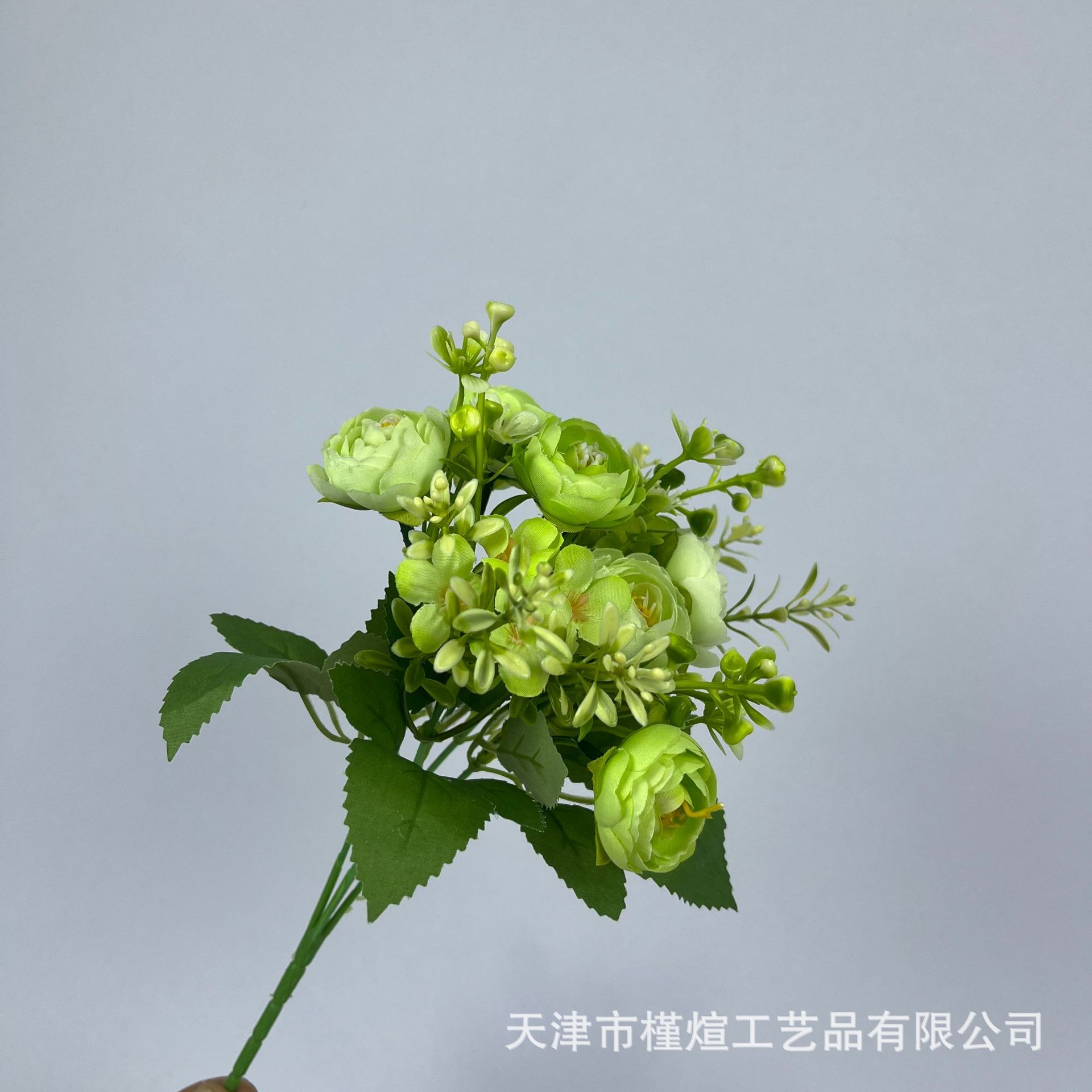 Vert
