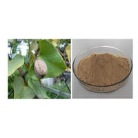 Poudre d'extrait d'aristolochia de clématite de haute qualité, approvisionnement d'usine