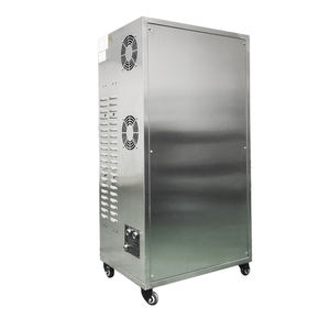 60 g/h source d'oxygène de haute qualité générateur d'ozone industriel éliminateur d'odeurs de fumée de voiture machines de traitement de l'eau - Product Image 6