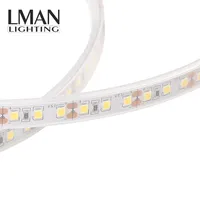 Haute qualité IP étanche IP68 silicone injection 8MM largeur DC 12V 24V 9.6W SMD2835 led bande lumineuse